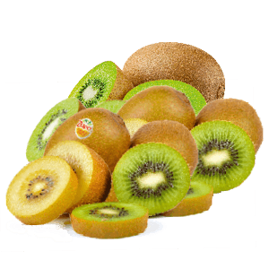 Zespri Kiwi green of Zespri kiwi sungold